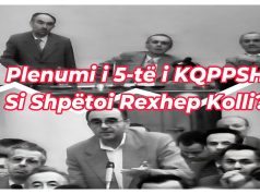 Pse Shpëtoi Rexhep Kolli nga Plenumi? Plenumit të 5-të të PPSH. Komploti në Ministrinë e Brendshme